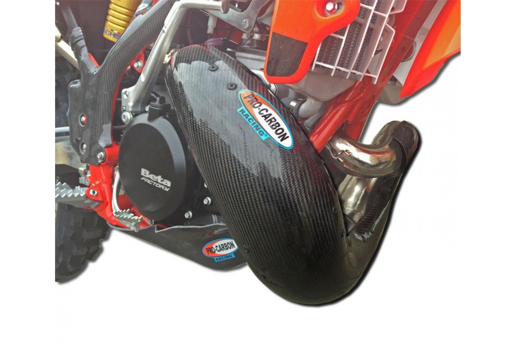 PRO CARBON Exhaust Guard - RR 250-300 2013-23 PRO CARBON Exhaust Guard - RR 250-300 2013-23