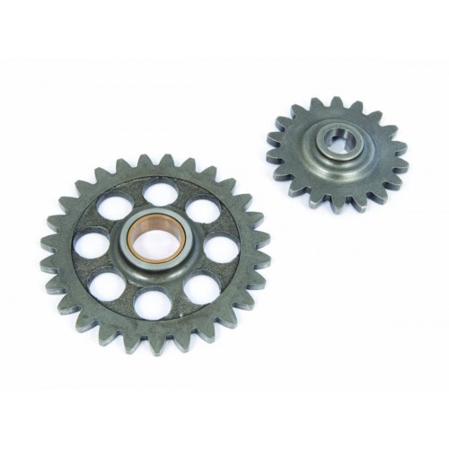 OIL PUMP GEAR KIT RR 4T
