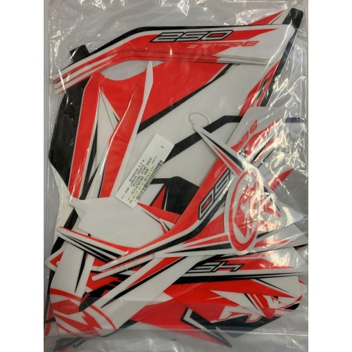 RR 4T/2T MY'13 DECALS KIT