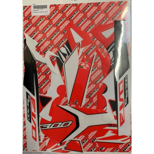 DECAL KIT FRAME EVO 2017 300SS