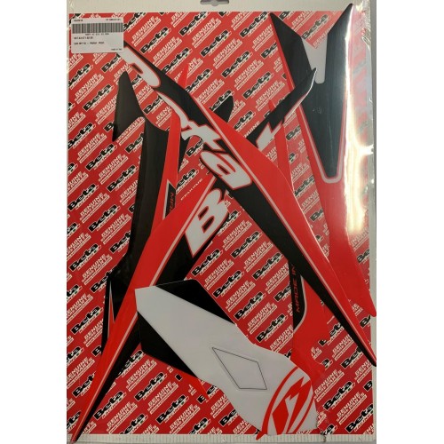 REAR FENDER DECAL EVO 2019