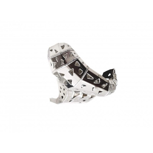 RR200 SKID PLATE WITH EX GUARD RR200 SKID PLATE WITH EX GUARD