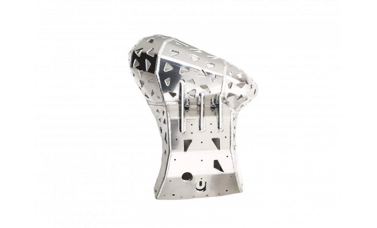 RR200 SKID PLATE WITH EX GUARD RR200 SKID PLATE WITH EX GUARD